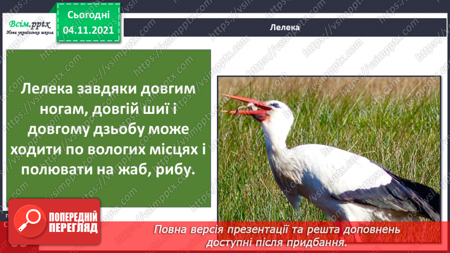 №040 - Як тварини пристосувалися добувати корм14 №040 - Як тварини пристосувалися добувати корм14