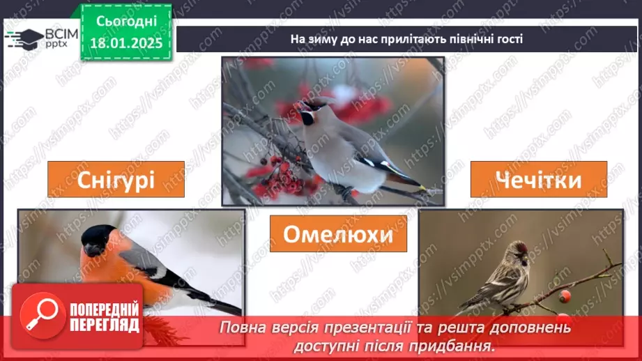 №0055 - Як зимують птахи та звірі8 №0055 - Як зимують птахи та звірі8