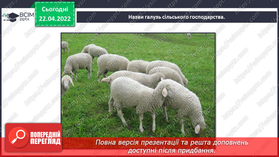 №092-94 - Повторення вивченого з розділу «Людина і природа»14