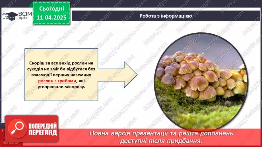 №76 - Значення грибів у природі. Паразитичні гриби.15 №76 - Значення грибів у природі. Паразитичні гриби.15