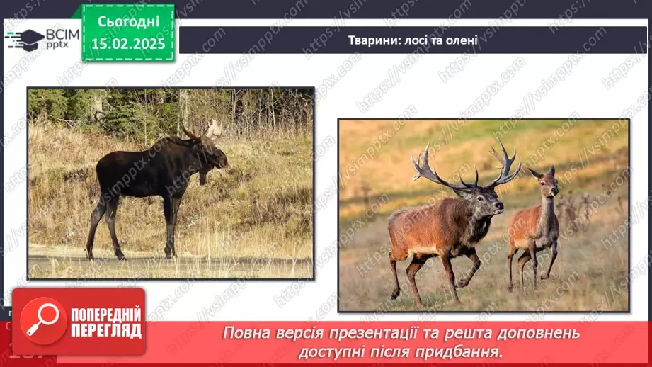 №46 - Природні зони Північної Америки. Арктичні пустелі. Тундра. Ліси помірного поясу.14