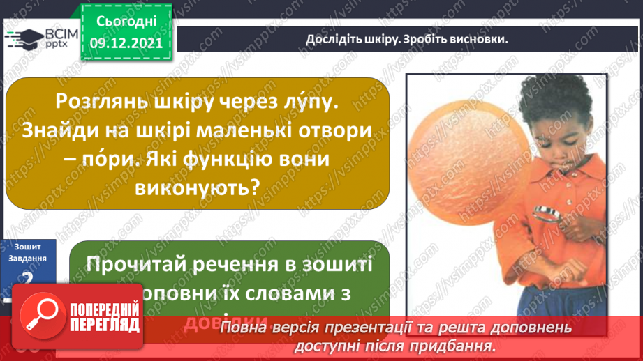 №047-48 - Для чого людині шкіра? Чи робить нас різними колір шкіри?16 №047-48 - Для чого людині шкіра? Чи робить нас різними колір шкіри?16