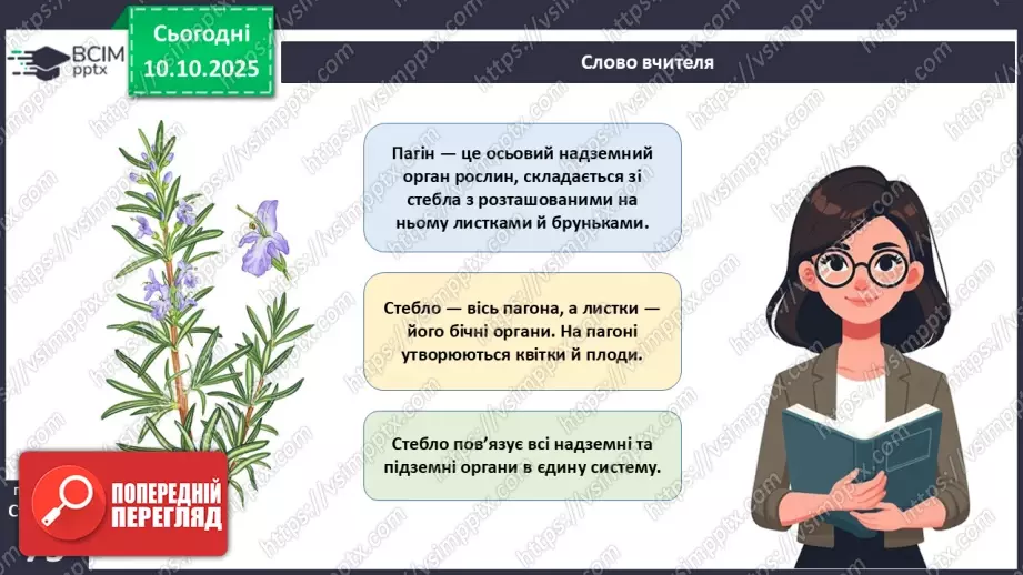 №022 - Покритонасінні рослини: будова бруньки, пагона й листка.5 №022 - Покритонасінні рослини: будова бруньки, пагона й листка.5