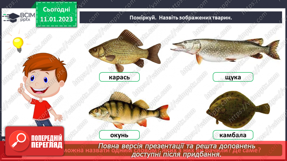 №0056 - Риби4 №0056 - Риби4