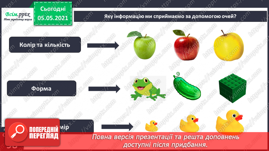 №079 - Орган зору11