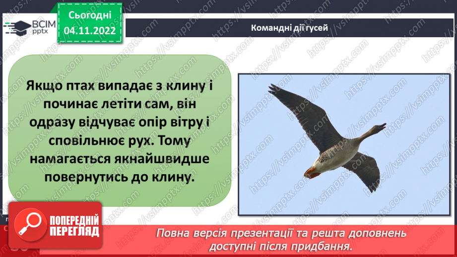 №12 - Командна робота. Переваги роботи в командній роботі. Дружній клас6