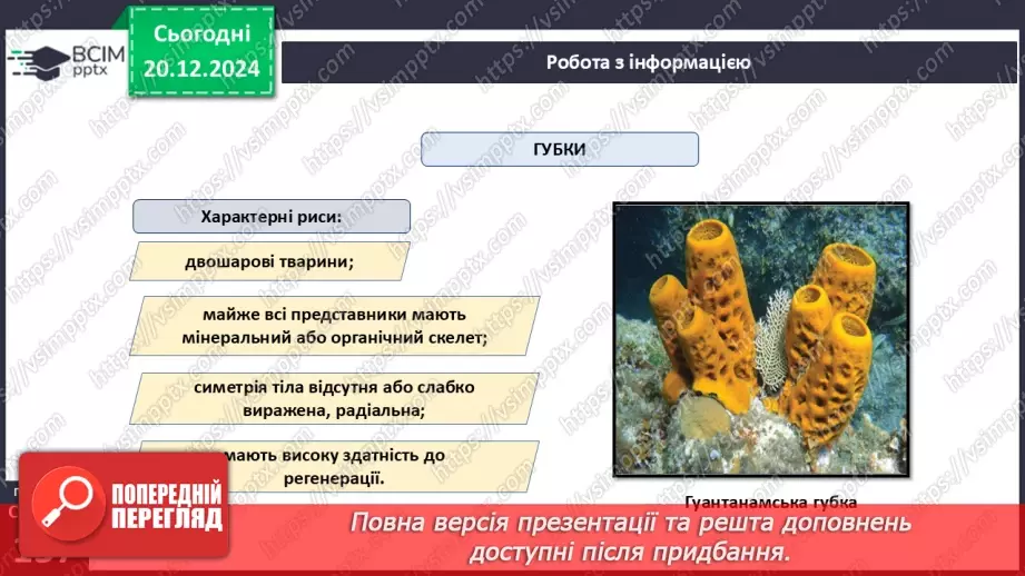 №49 - Губки і Жалкі.13 №49 - Губки і Жалкі.13