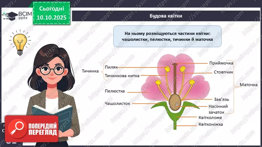 №024 - Покритонасінні рослини: квітка та плід. Значення в екосистемах.6 №024 - Покритонасінні рослини: квітка та плід. Значення в екосистемах.6