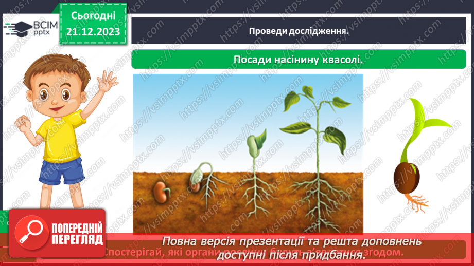 №050 - Яка будова рослин25 №050 - Яка будова рослин25