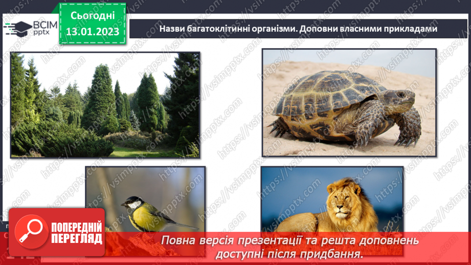 №38 - Організми та їх властивості. Методи дослідження організмів. Висівання і пророщування квасолі.19