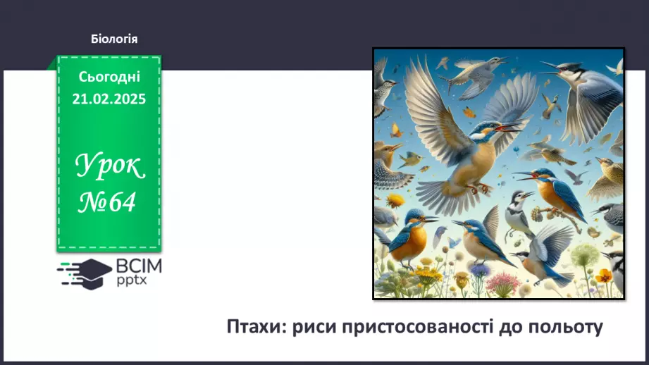№64 - Птахи: риси пристосованості до польоту.0