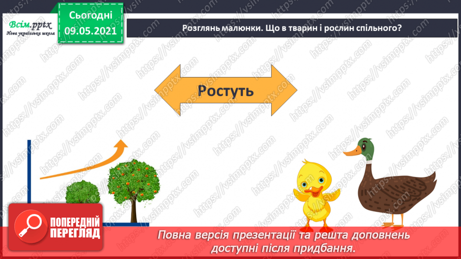 №049 - Чим особливий різноманітний світ рослин?15 №049 - Чим особливий різноманітний світ рослин?15