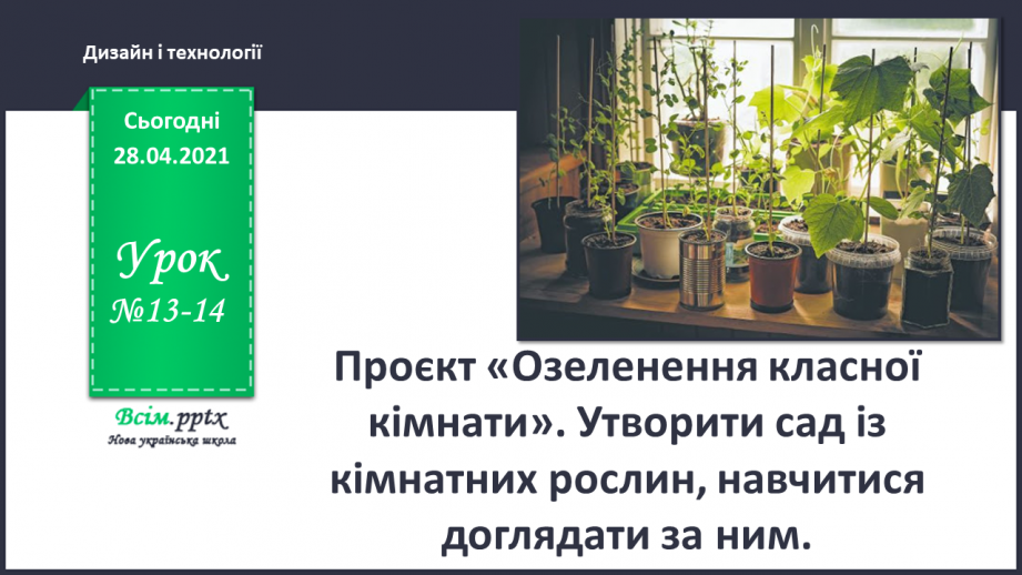 №13-14 - Проект «Озеленення класної кімнати»0