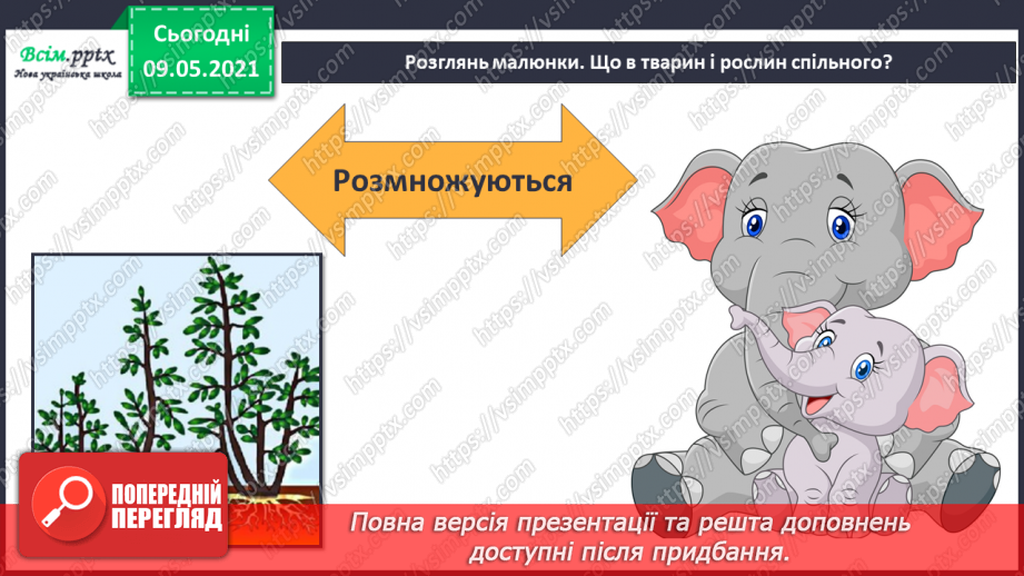 №049 - Чим особливий різноманітний світ рослин?17 №049 - Чим особливий різноманітний світ рослин?17