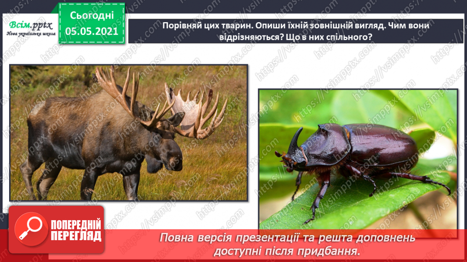 №039 - Звірі.23 №039 - Звірі.23