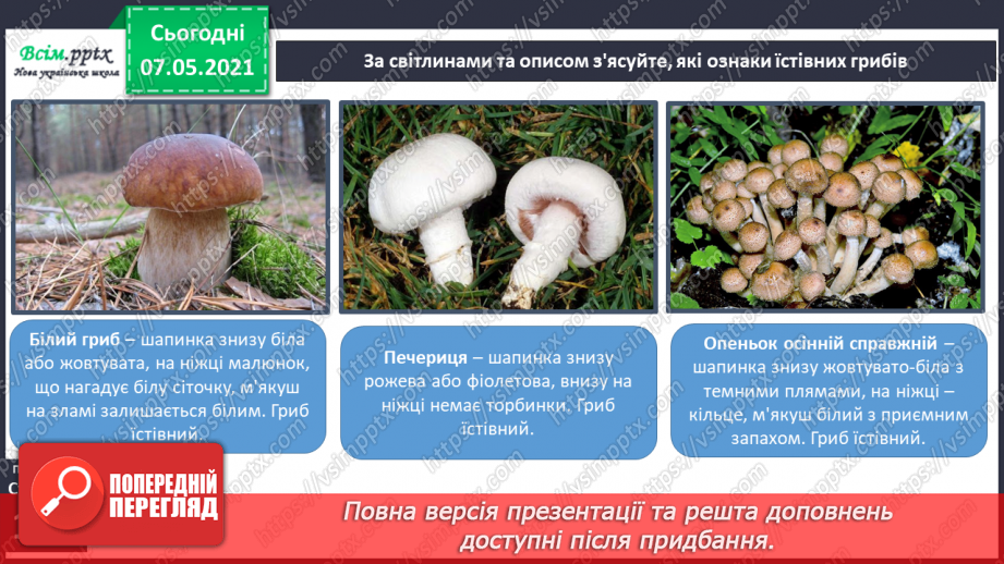 №043 - Які їстівні гриби, а яка – отруйні15 №043 - Які їстівні гриби, а яка – отруйні15