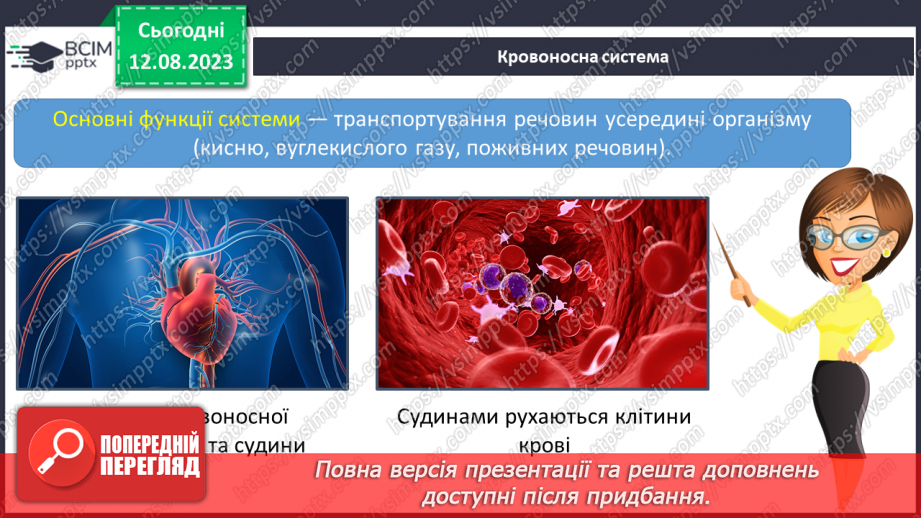 №13 - Людина як організована форма життя. Поняття про основні системи людини та їх значення.18