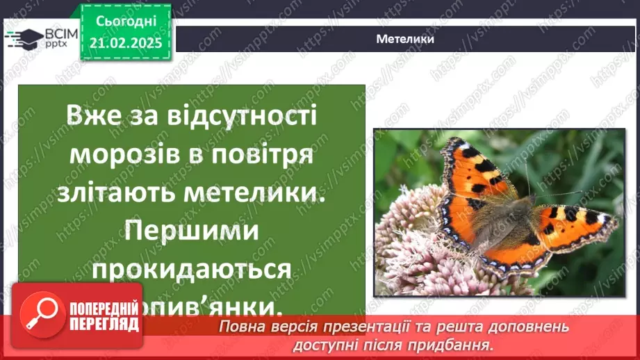 №0072 - Які комахи з’являються першими навесні11