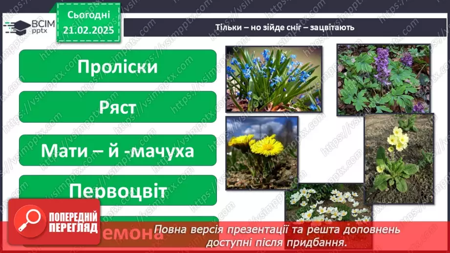 №0070 - Як почуваються рослини навесні9 №0070 - Як почуваються рослини навесні9