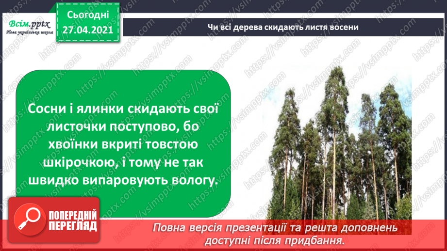 №032 - Як рослини готуються до зими14