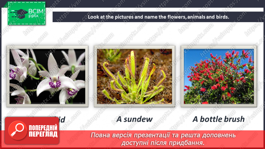 №081 - Fact File. Australia. Wildlife and Wild Flowers of Australia.14 №081 - Fact File. Australia. Wildlife and Wild Flowers of Australia.14