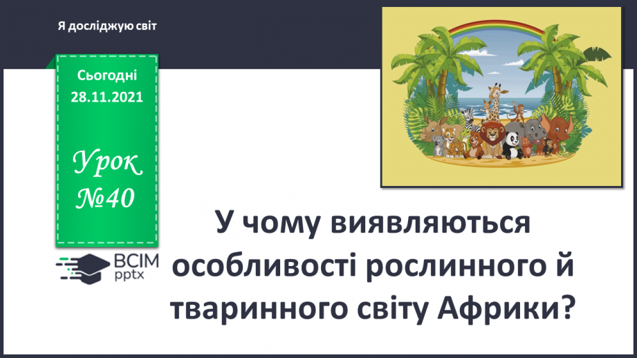 №040 - У чому виявляються особливості рослинного й тваринного світу Африки?0