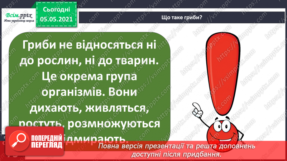 №049 - Гриби.5 №049 - Гриби.5