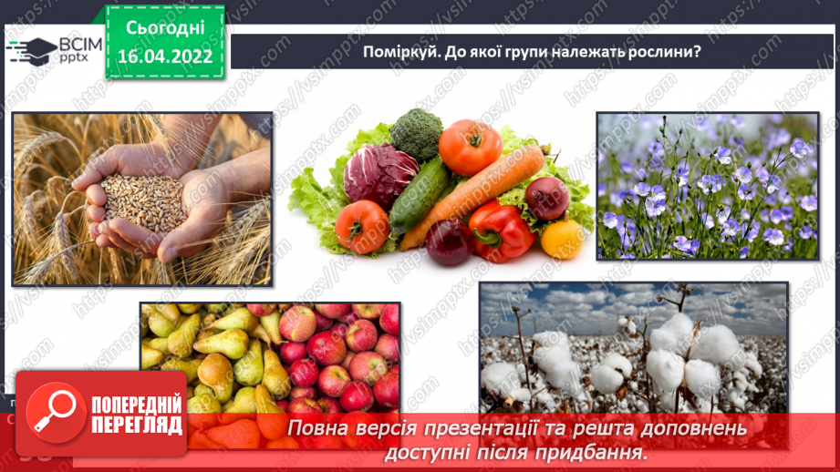 №088 - Рослинництво в рідному краї22