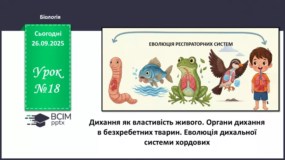 №018 - Дихання як властивість живого. Органи дихання в безхребетних тварин. Еволюція дихальної системи хордових.0 №018 - Дихання як властивість живого. Органи дихання в безхребетних тварин. Еволюція дихальної системи хордових.0
