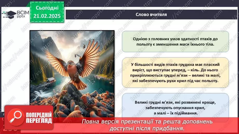 №64 - Птахи: риси пристосованості до польоту.15