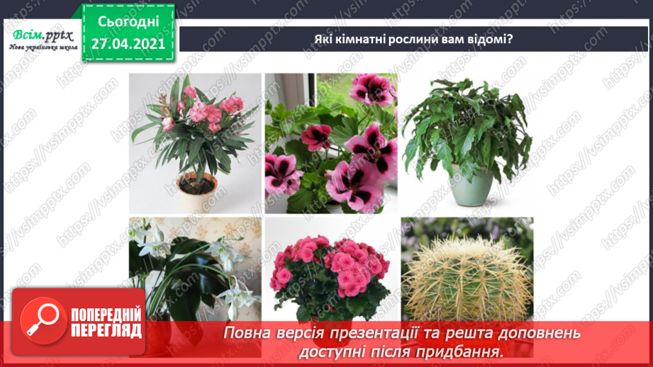 №017 - Вирощування кімнатних рослин8 №017 - Вирощування кімнатних рослин8