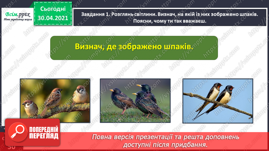 №109 - Розвиток зв’язного мовлення. Переказую текст. Дружні шпаки (За Наталею Забілою)7