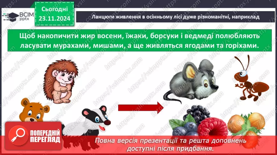 №0038 - Які невидимі ланцюги є в осінньому лісі14 №0038 - Які невидимі ланцюги є в осінньому лісі14