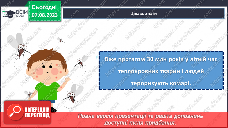 №35 - Світло літа: відпочинок та пригоди.16