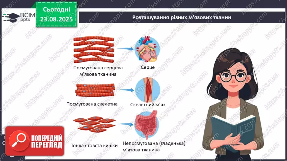 №002 - Органи та фізіологічні системи організму людини й тварин.7 №002 - Органи та фізіологічні системи організму людини й тварин.7