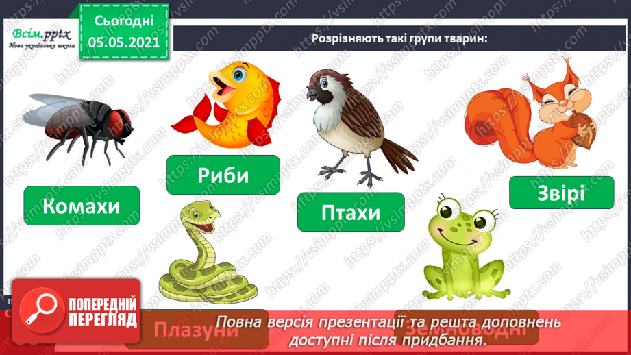 №041 - Різноманітність тварин у природі. Комахи4 №041 - Різноманітність тварин у природі. Комахи4