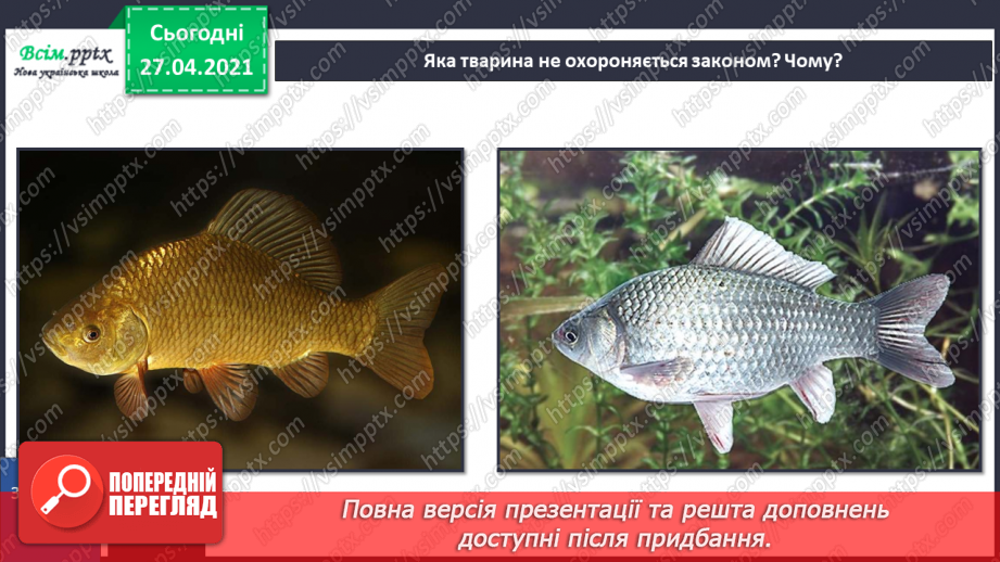 №092 - Чому тваринам загрожує небезпека зникнення?28 №092 - Чому тваринам загрожує небезпека зникнення?28