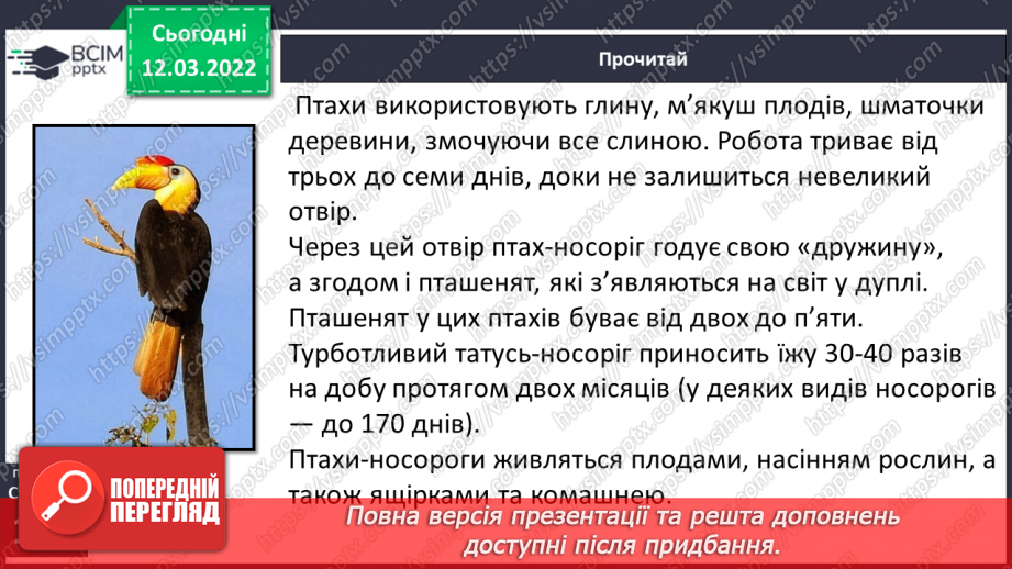 №092 - Т. Колодницька «Птахи – носороги»10 №092 - Т. Колодницька «Птахи – носороги»10