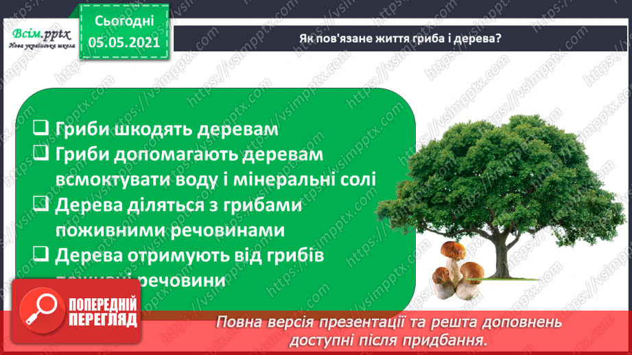 №037 - Значення грибів.28 №037 - Значення грибів.28