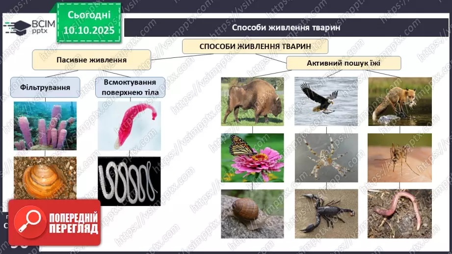 №022 - Живлення як властивість живого. Еволюція травної системи тварин.8 №022 - Живлення як властивість живого. Еволюція травної системи тварин.8