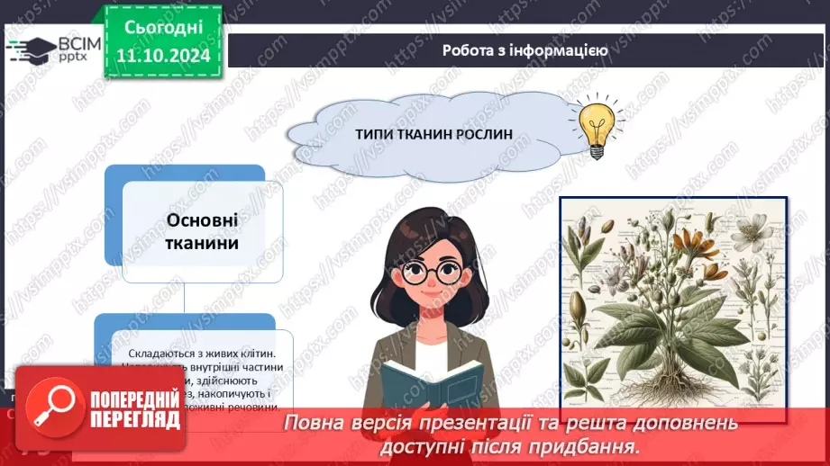 №23 - Тканини і органи рослин.13 №23 - Тканини і органи рослин.13