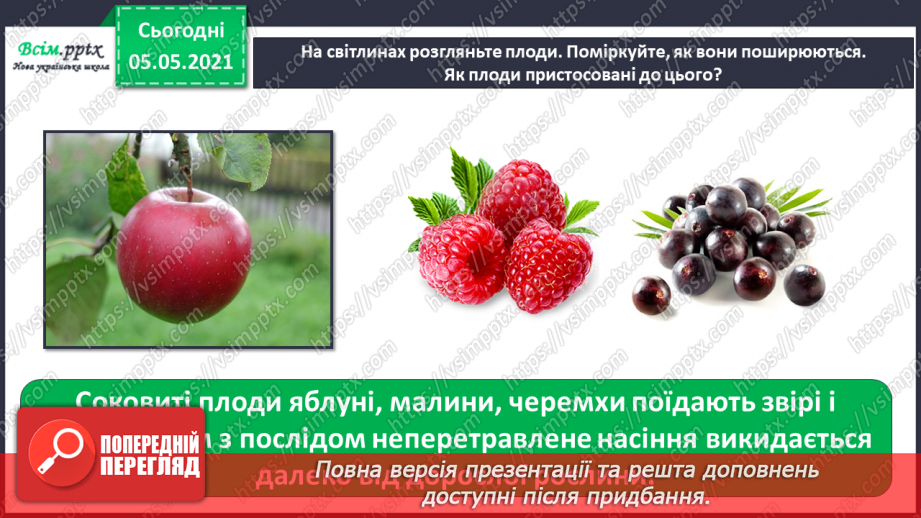№033 - Розмноження квіткових рослин15