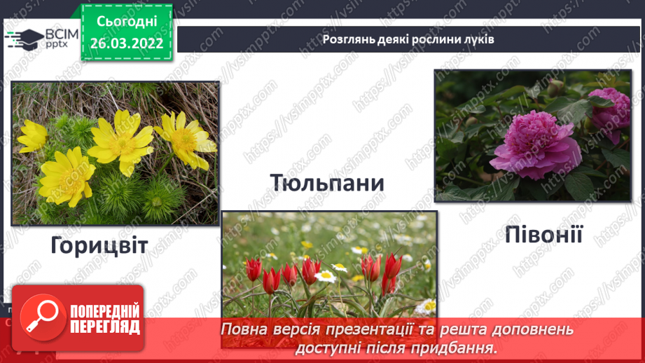 №080 - Лісостеп. Степ7 №080 - Лісостеп. Степ7