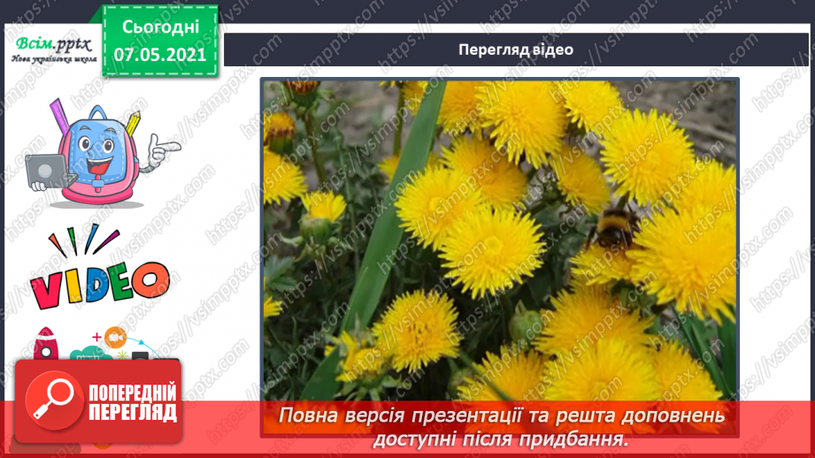 №036 - Які бувають рослини13 №036 - Які бувають рослини13