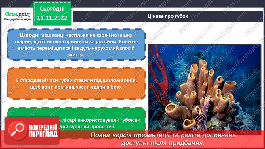 №13 - Черви, жалкі, голкошкірі та губки. Виготовляємо обкладинку інтерактивного зошита «Царство тварин».13