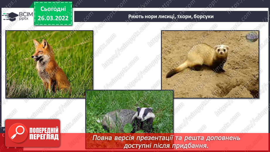 №080 - Лісостеп. Степ13 №080 - Лісостеп. Степ13