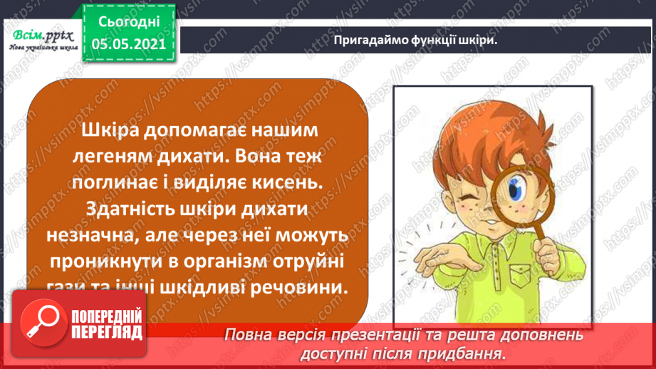 №087 - Орган дотику.17