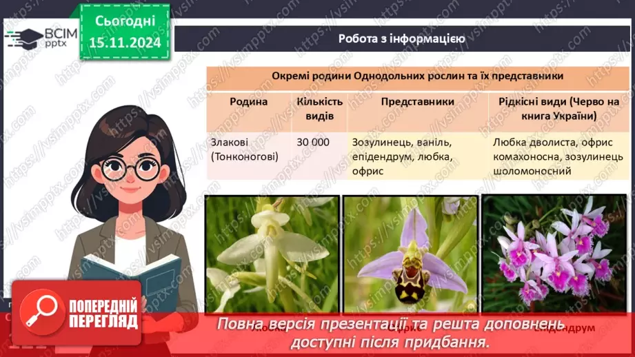 №36 - Квіткові. Різноманіття квіткових.14 №36 - Квіткові. Різноманіття квіткових.14