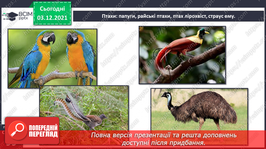 №043 - Материки Землі. Особливості природи материків15 №043 - Материки Землі. Особливості природи материків15