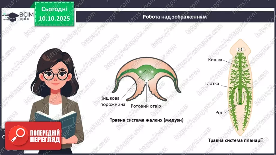 №022 - Живлення як властивість живого. Еволюція травної системи тварин.20 №022 - Живлення як властивість живого. Еволюція травної системи тварин.20